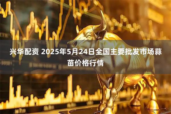 兴华配资 2025年5月24日全国主要批发市场蒜苗价格行情
